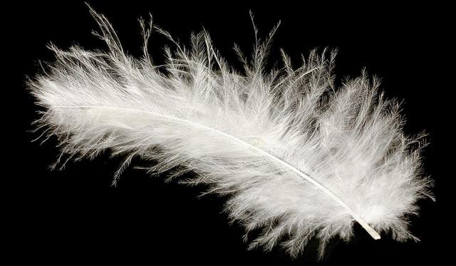 睡袋選購指南,如何選擇合適的超輕徒步睡袋