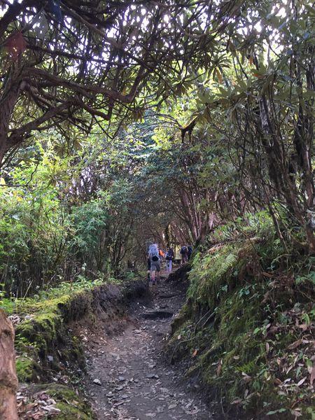 走向喜馬拉雅,尼泊爾Poonhill普恩山小環線徒步之旅