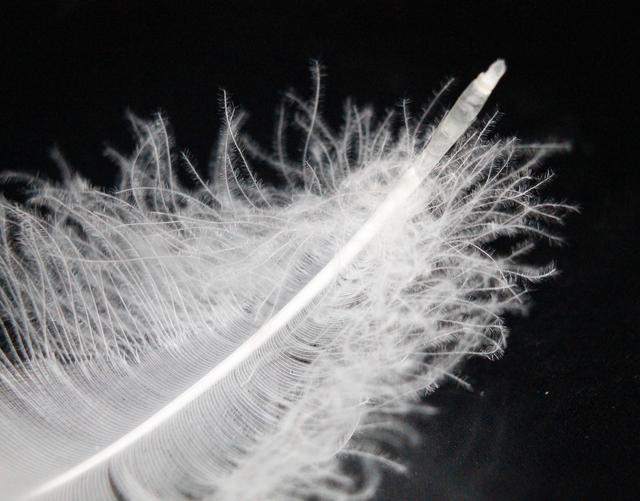 羽絨服和棉服哪個更保暖?看完就知道如何選擇了