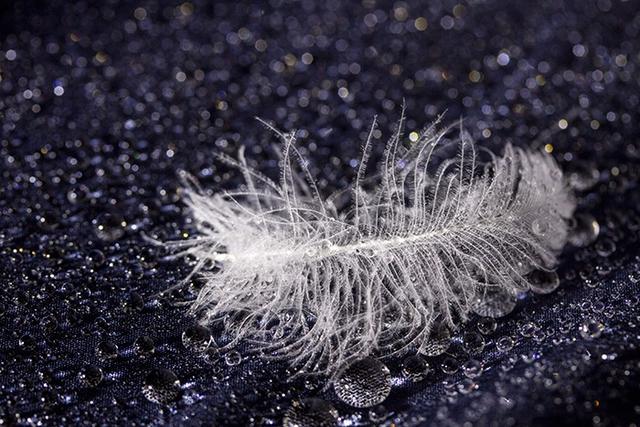 羽絨服和棉服哪個更保暖?看完就知道如何選擇了