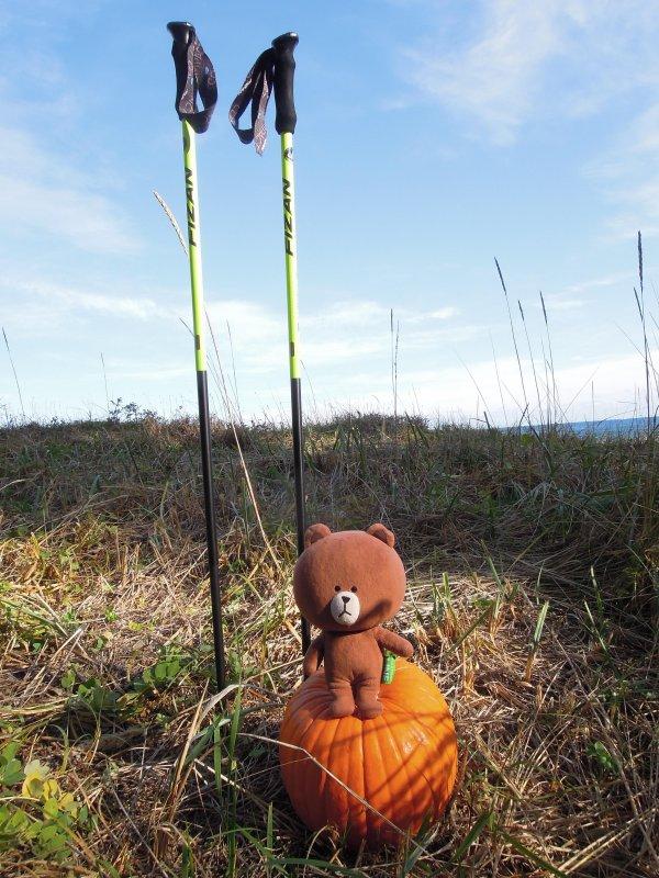 超輕好用的登山杖,Fizan三節式登山杖實測體驗
