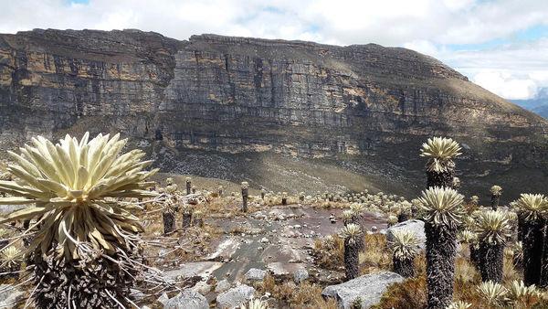 南美安第斯山脈徒步穿越,哥倫比亞篇回憶錄