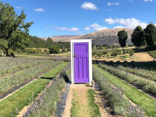 新西蘭自由行,超實用的南島8日半自駕游攻略