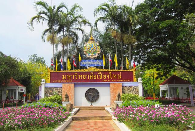 泰國清邁自由行,清邁知名景點與交通自助游攻略