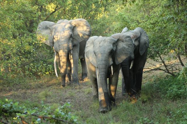 非洲旅行,西非三國(guó)（貝寧、多哥、加納）自助旅行經(jīng)驗(yàn)與攻略分享