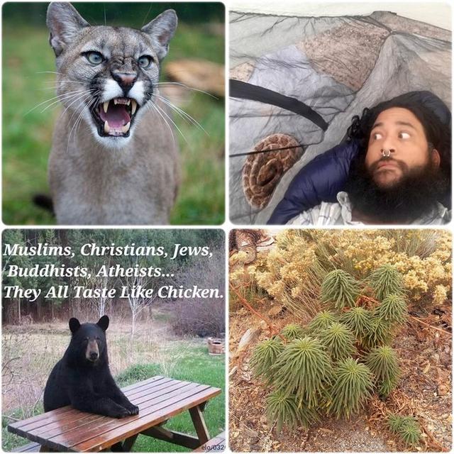 超越勇氣的荒野之路,徒步走完PCT太平洋屋脊步道