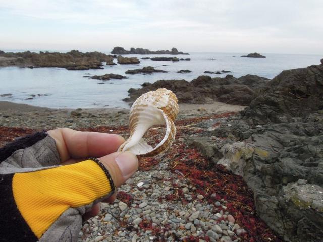超輕好用的登山杖,Fizan三節式登山杖實測體驗