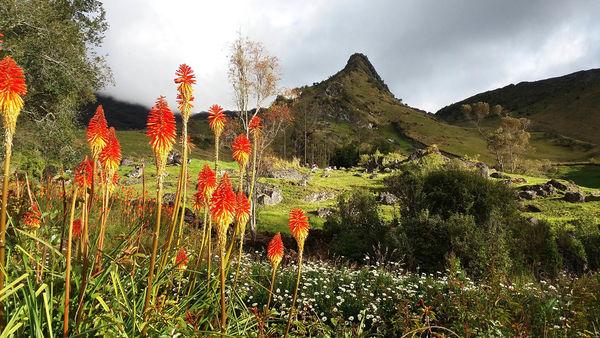 南美安第斯山脈徒步穿越,哥倫比亞篇回憶錄