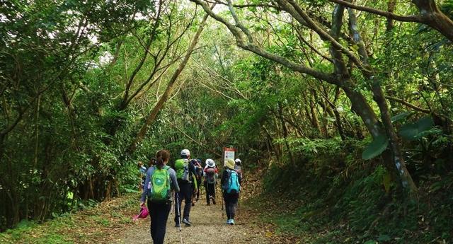 裝備測評,icebreaker羊毛保暖內衣及中厚款羊毛戶外襪