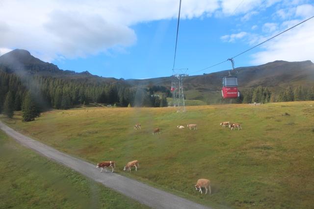 瑞士自由行徒步路線推薦,從梅利菲看艾格峰、僧侶峰、少女峰