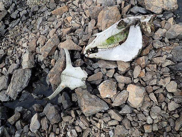 洛克線四川木里亞丁徒步穿越,一生必走的徒步路線