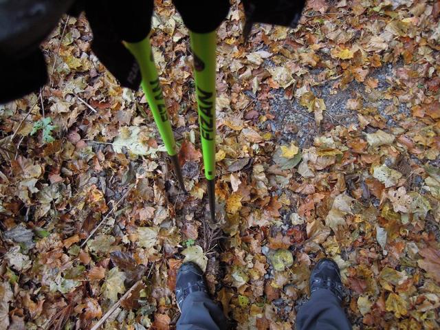 超輕好用的登山杖,Fizan三節式登山杖實測體驗