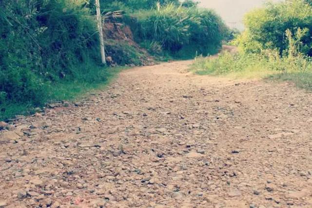 戶外知識,戶外旅程中不同路面的徒步技巧