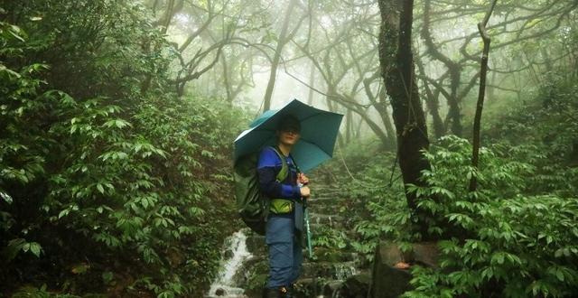 裝備測評,icebreaker羊毛保暖內衣及中厚款羊毛戶外襪