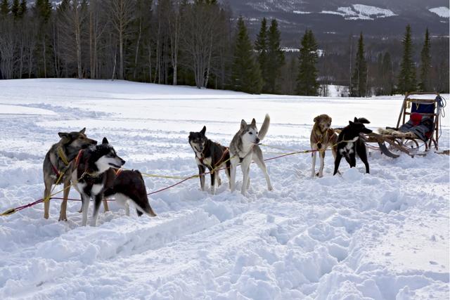 瑞典自由行旅游攻略,體驗北極圈城市別樣情懷