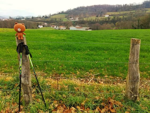 超輕好用的登山杖,Fizan三節式登山杖實測體驗