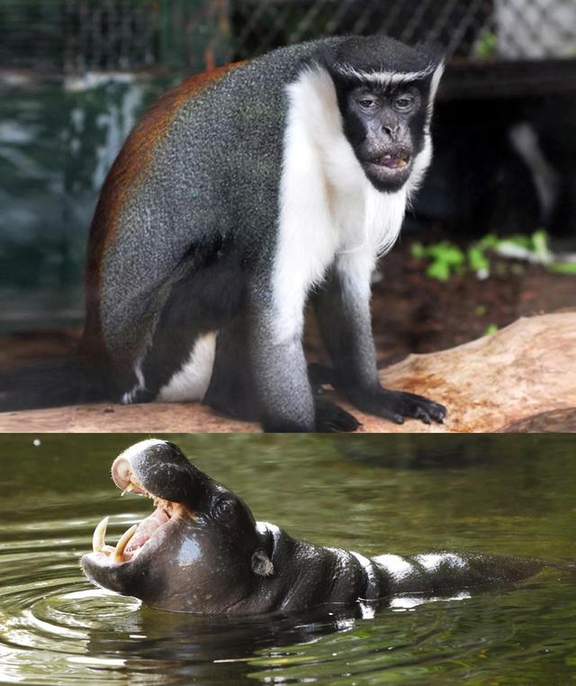 10個國外小眾旅行目的地推薦,會玩的人已列入明年旅行計劃