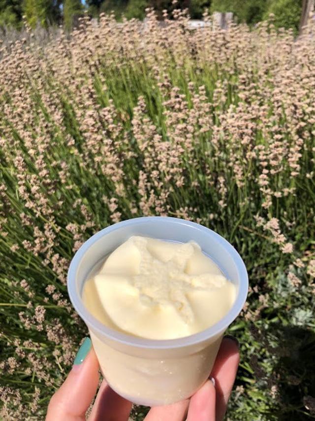 新西蘭自由行,超實用的南島8日半自駕游攻略