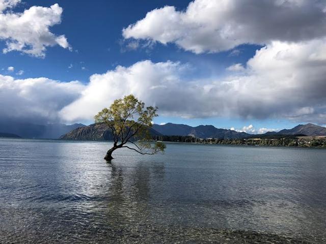 新西蘭自由行,超實用的南島8日半自駕游攻略