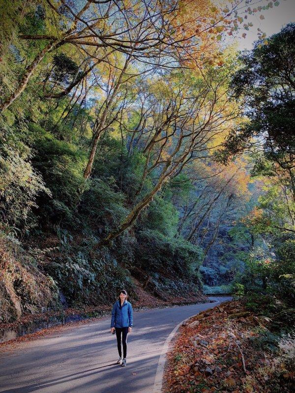 法國戶外品牌MILLET覓樂棉服外套實測,告別寒冷給你冬日溫暖