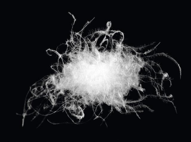 羽絨服和棉服哪個更保暖?看完就知道如何選擇了