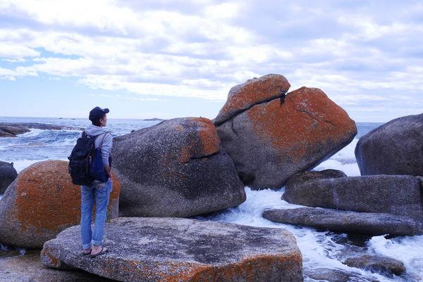 澳大利亞塔斯馬尼亞旅游指南,第一次去塔斯馬尼亞旅游必去景點