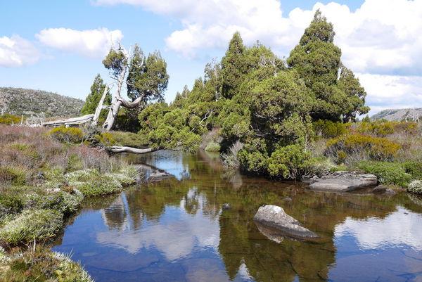 澳大利亞塔斯馬尼亞旅游指南,第一次去塔斯馬尼亞旅游必去景點