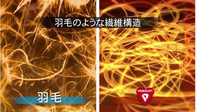 羽絨服和棉服哪個更保暖?看完就知道如何選擇了