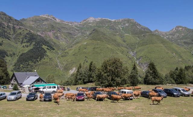 體驗法國人的度假天堂,法國南部比利牛斯山登山一日行