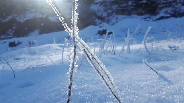 戶外知識,戶外旅程中不同路面的徒步技巧