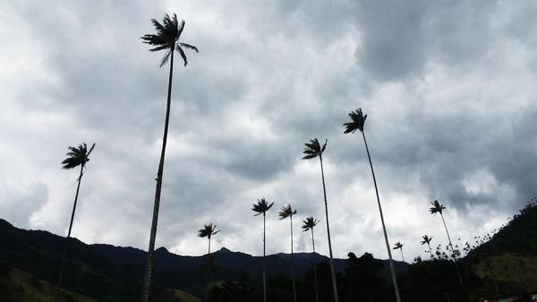 南美安第斯山脈徒步穿越,哥倫比亞篇回憶錄