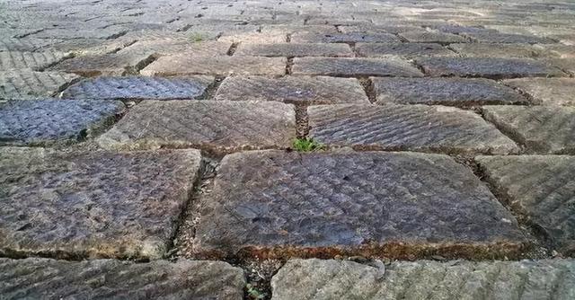 戶外知識,戶外旅程中不同路面的徒步技巧