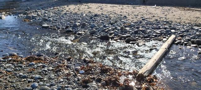 超輕好用的登山杖,Fizan三節式登山杖實測體驗