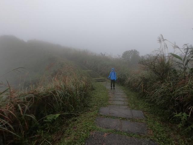 日常或戶外都需要這樣一件軟殼,法國品牌Millet覓樂軟殼外套測評