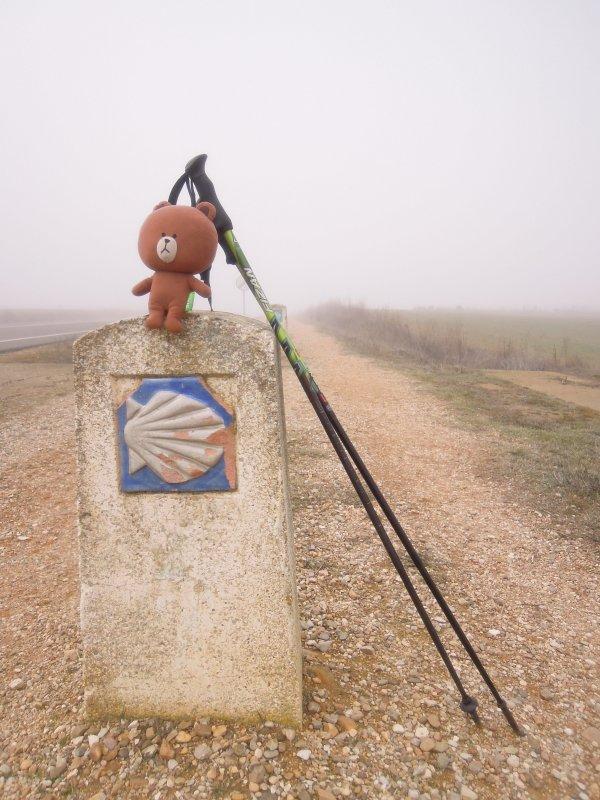 超輕好用的登山杖,Fizan三節式登山杖實測體驗