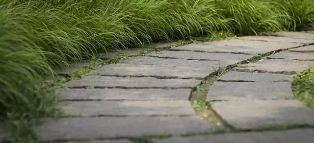 戶外知識,戶外旅程中不同路面的徒步技巧