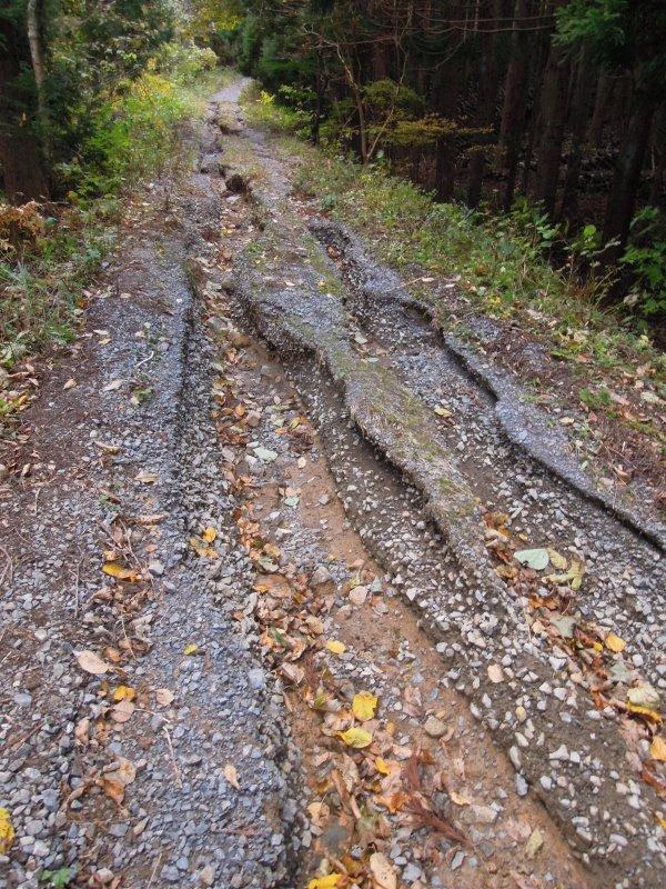 超輕好用的登山杖,Fizan三節式登山杖實測體驗