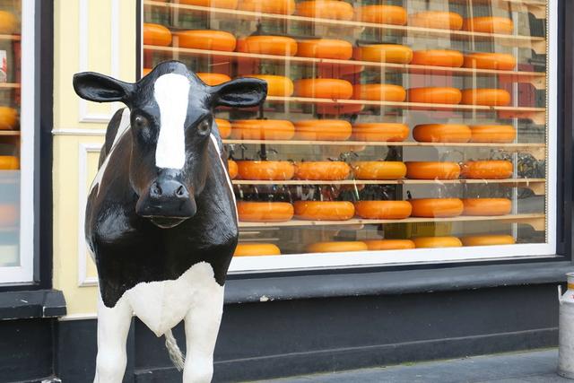 荷蘭阿姆斯特丹自由行攻略,你不可錯過的旅游景點