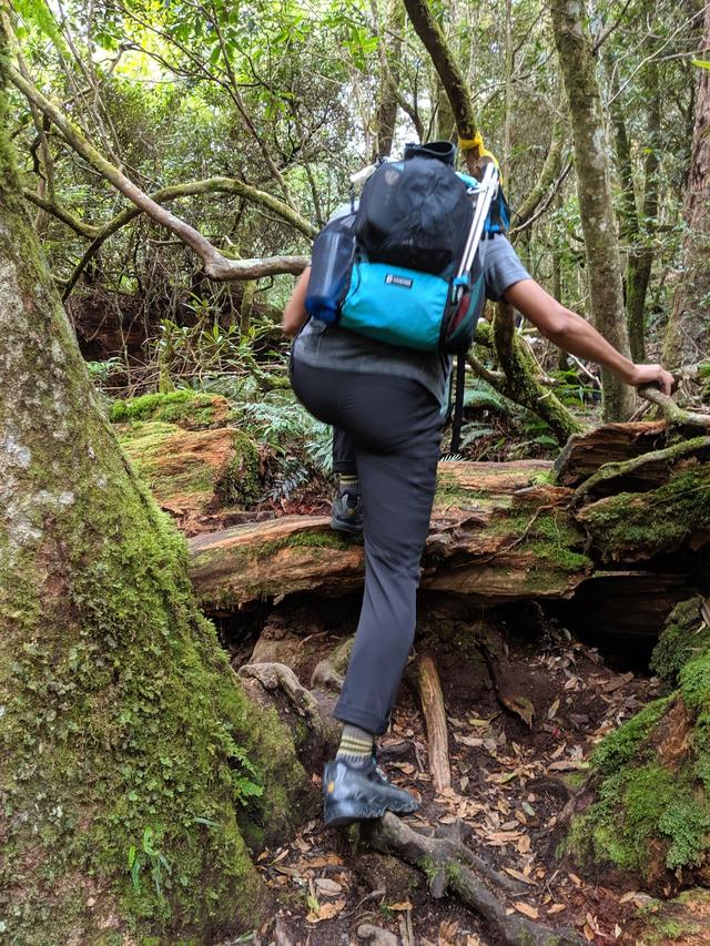 La Sportiva越野跑鞋評測,一鞋多用、帥氣兼具