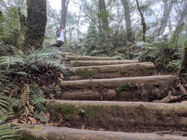 La Sportiva越野跑鞋評測,一鞋多用、帥氣兼具