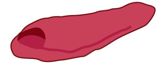 戶外露營裝備,如何挑選合適的睡袋