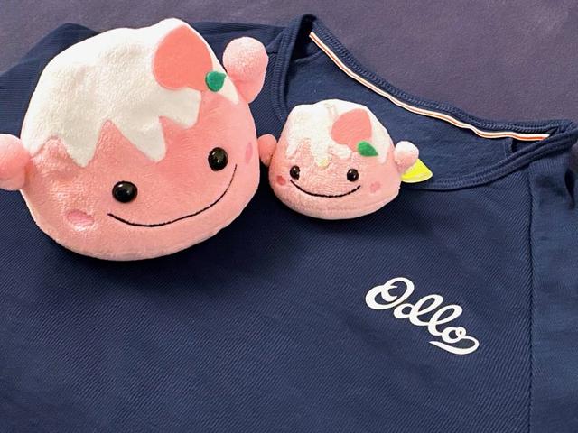 登上非洲之巔乞力馬扎羅山,瑞士Odlo奧遞樂保暖內衣實測