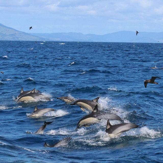 2020年最佳旅游時間表,邂逅全球最美的風景!