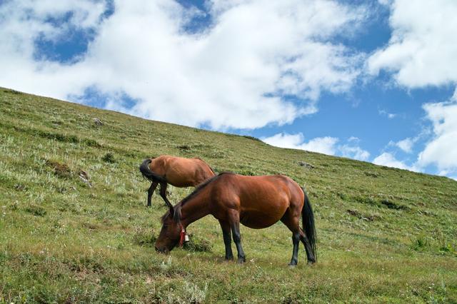 四姑娘山二峰,一座適合新手攀登的雪山