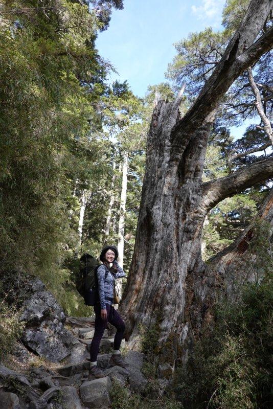 奧遞樂(odlo)底層衣測(cè)評(píng)分享,冬季玩戶外選保暖又速干的內(nèi)衣