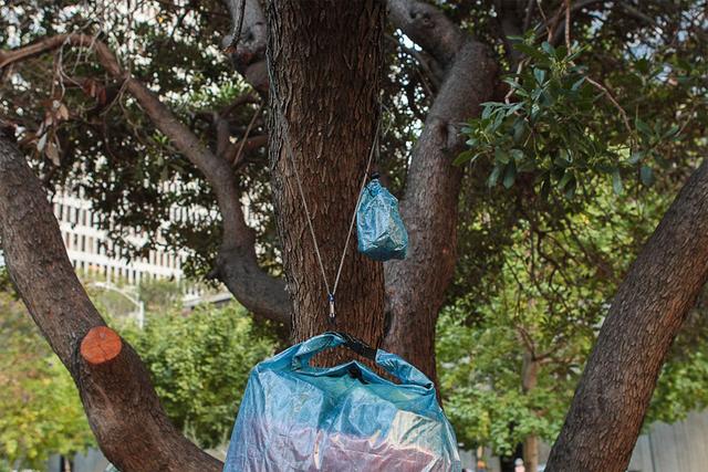 除了必備的戶外裝備,這些野外生存的必備物品可以帶