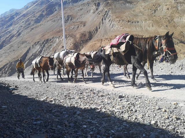 拉達(dá)克,體驗(yàn)“小西藏”馬爾哈山谷徒步之旅