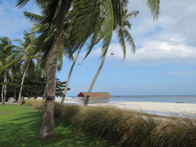 菲律賓自由行,宿霧薄荷島五天四夜行程旅游攻略