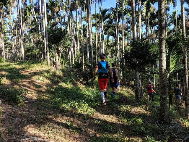 La Sportiva越野跑鞋評測,一鞋多用、帥氣兼具