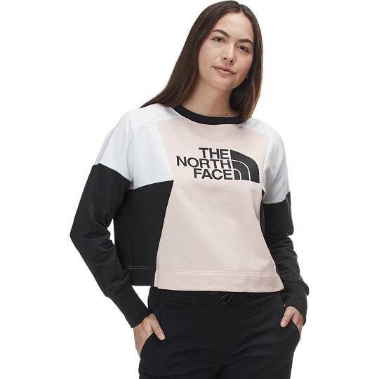 The North Face Train N Logo Crop Pullover 北面 女款長袖套頭衫